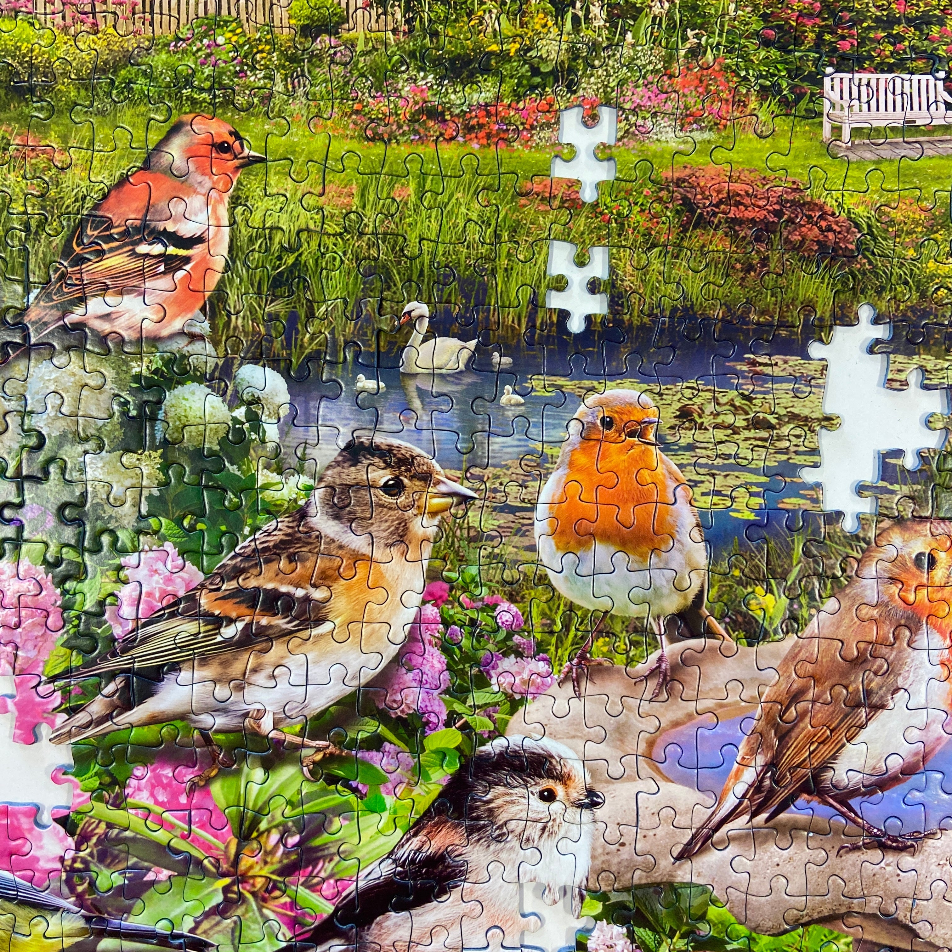 Birdsong by the Stream