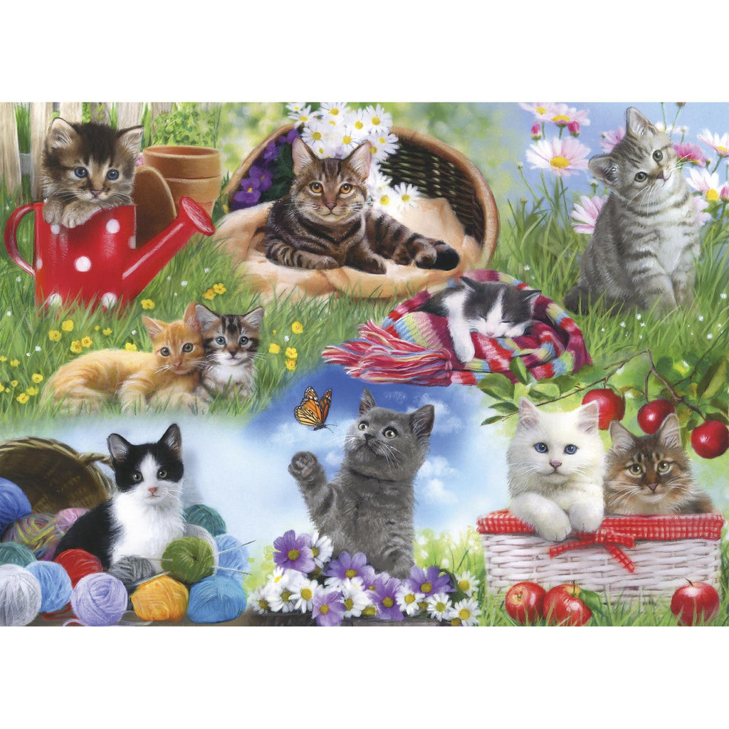 Cats