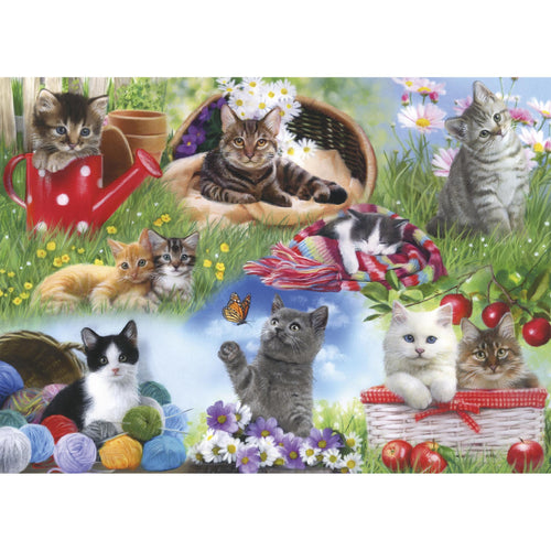 Cats
